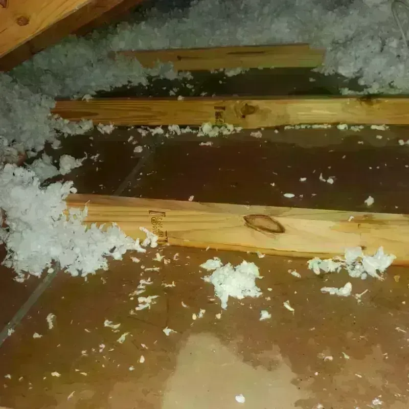 Attic Water Damage in Cottonwood, MN